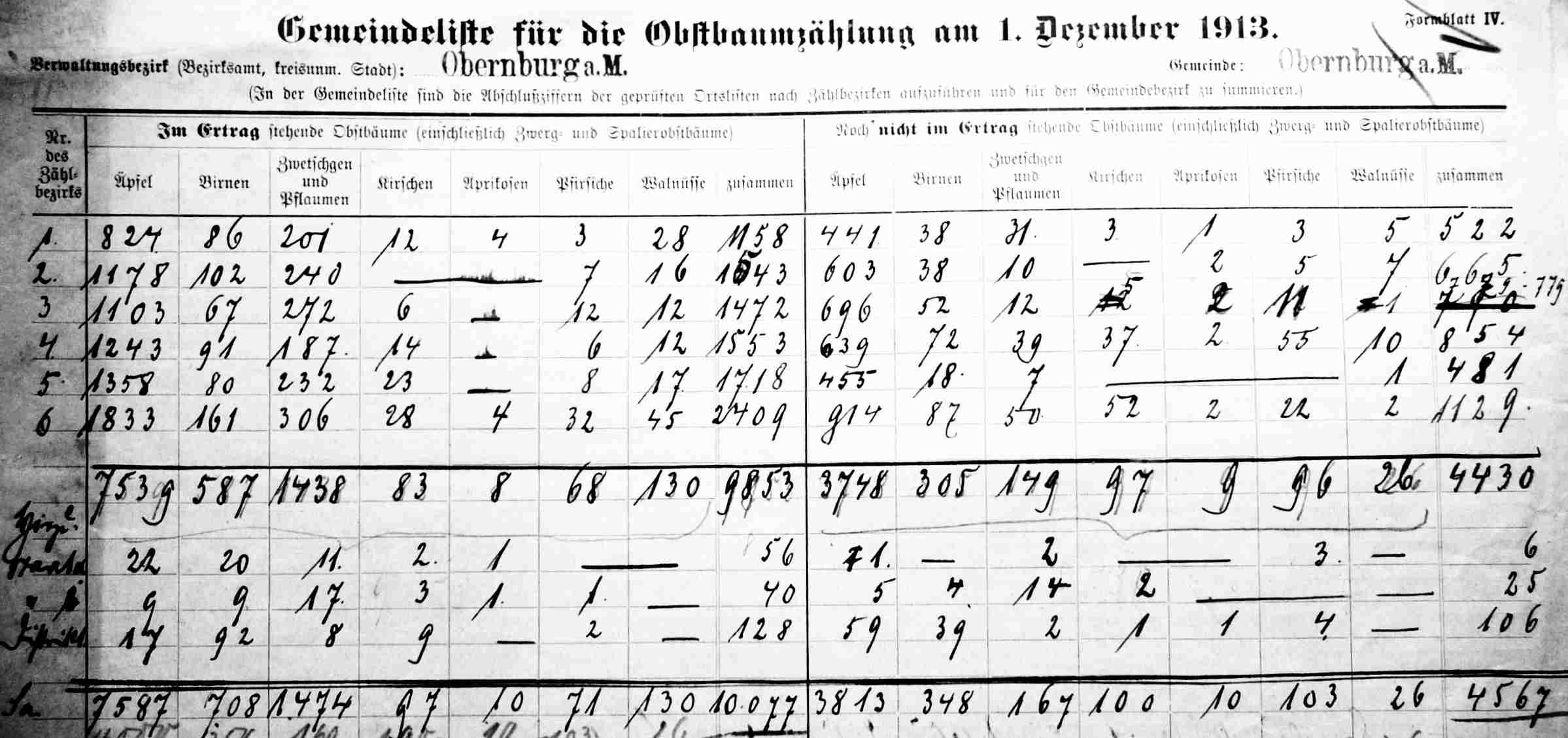 Keltern Obstbaumzaehlungsliste 19131201