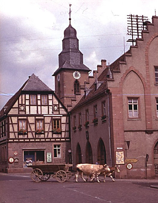 Rathaus mit Kuhfuhrwerk Farbe