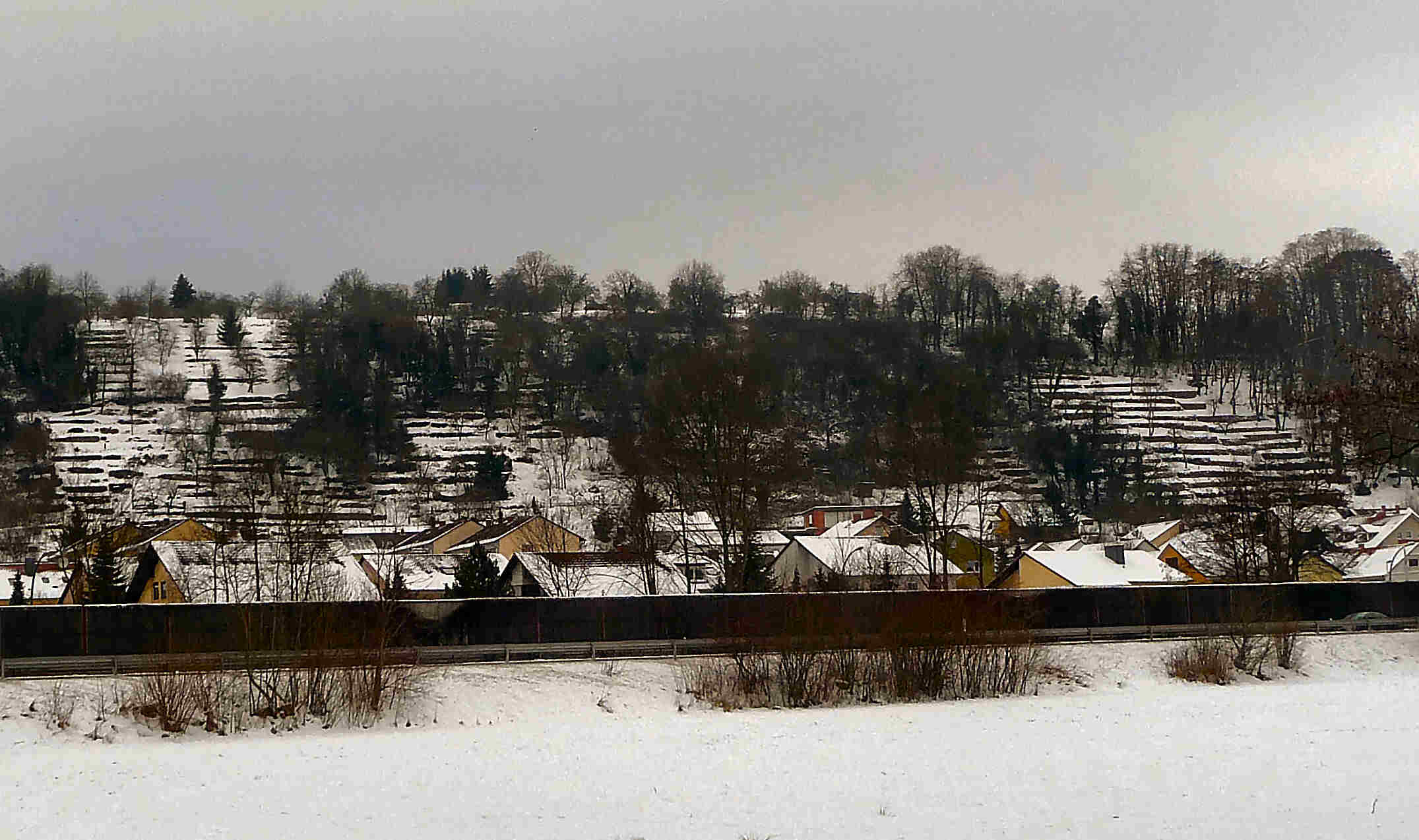 Weinberge Mainhoellenberg im Schnee 2010