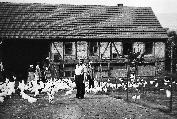 Hühnerfarm Hohm