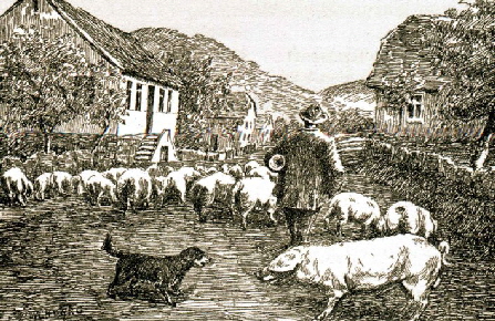 Schweinetrieb