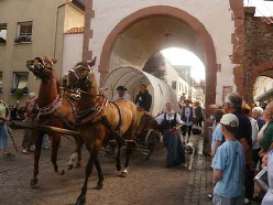 Kaufmannszug