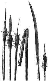 Die Waffen der Bauern