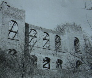 OVGO Burgruine