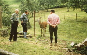 Lauterhof