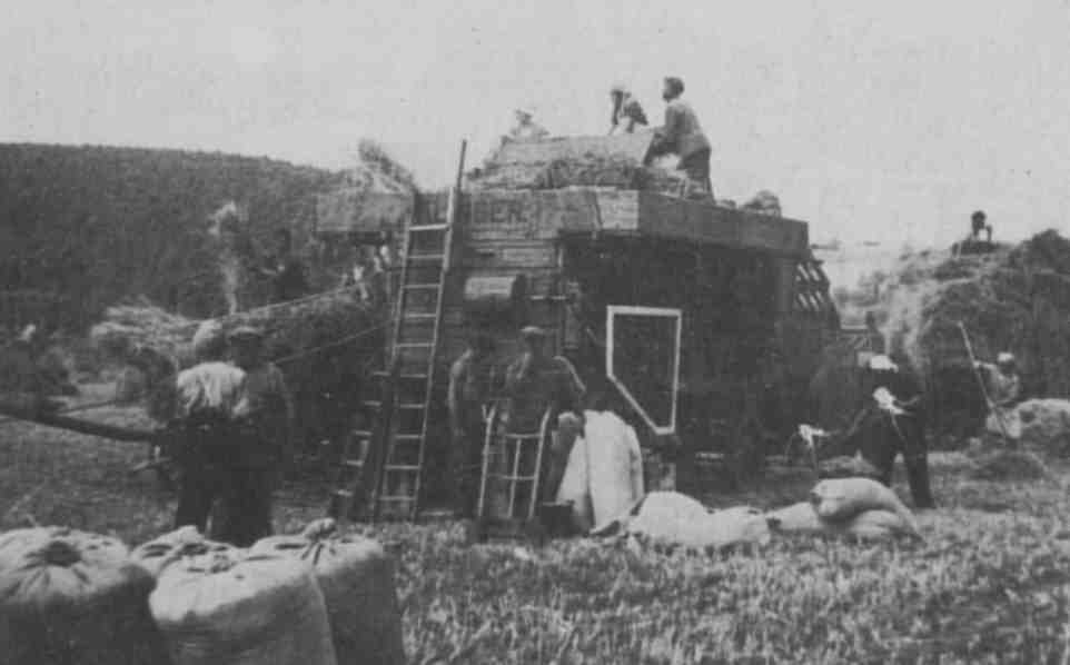 Dreschmaschine auf der Hohlwiese
