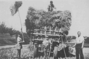 Getreidewagen aufladen