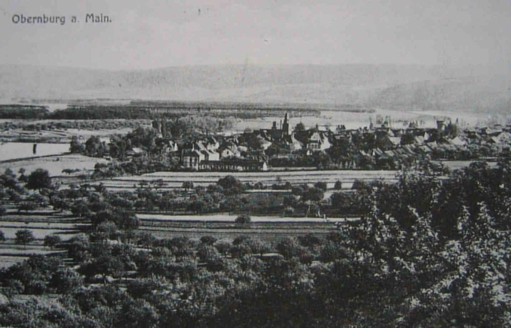 Obernburg von Norden
