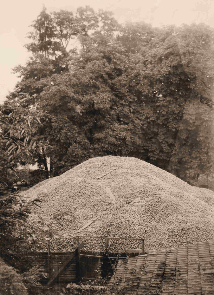 Ein, bei der OVGO angehäufter Berg mit zu kelternden Äpfeln