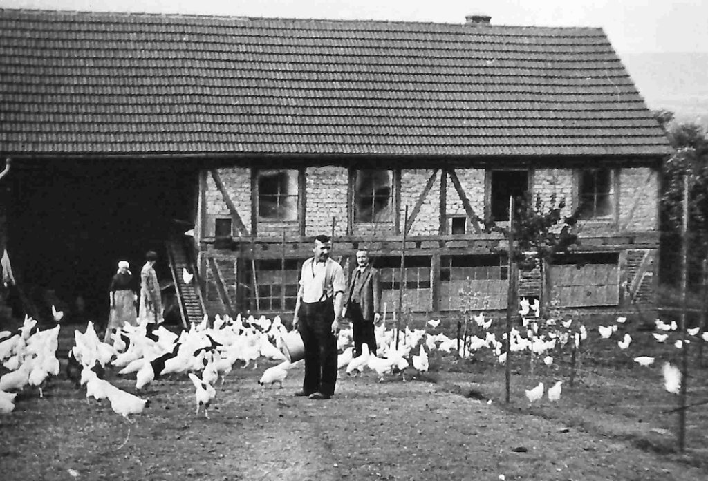 Hühnerfarm