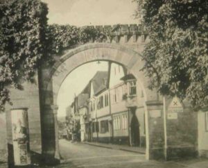 Rose Blick durch Unteres Tor