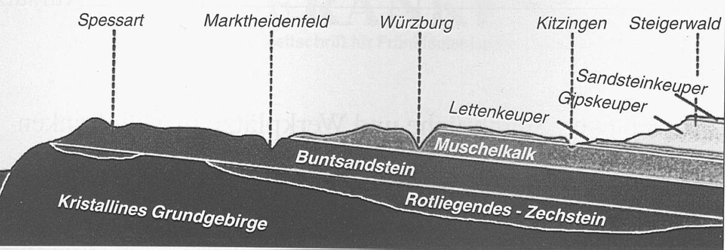 Sandstein Buntsandstein Querschnitt Spessart