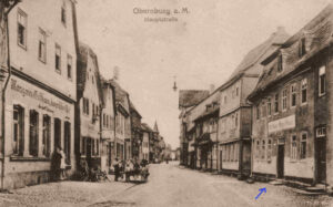 Vogel Strauss TS