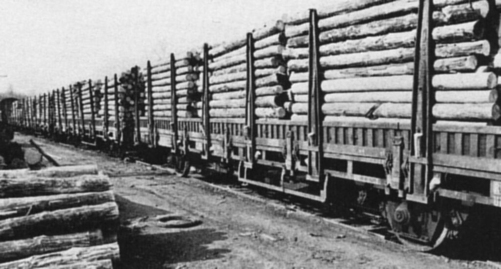 Grubenholz auf Eisenbahnwaggons