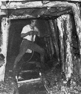 Tonbergwerk Klingenberg